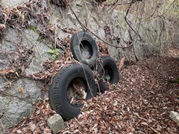 廃タイヤの回収前