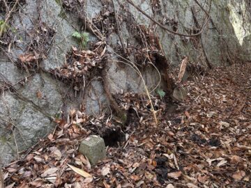 廃タイヤの回収後