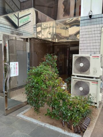 エントランスの植木の剪定後