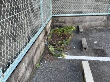 駐車場の掃除前